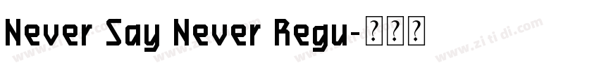 Never Say Never Regu字体转换